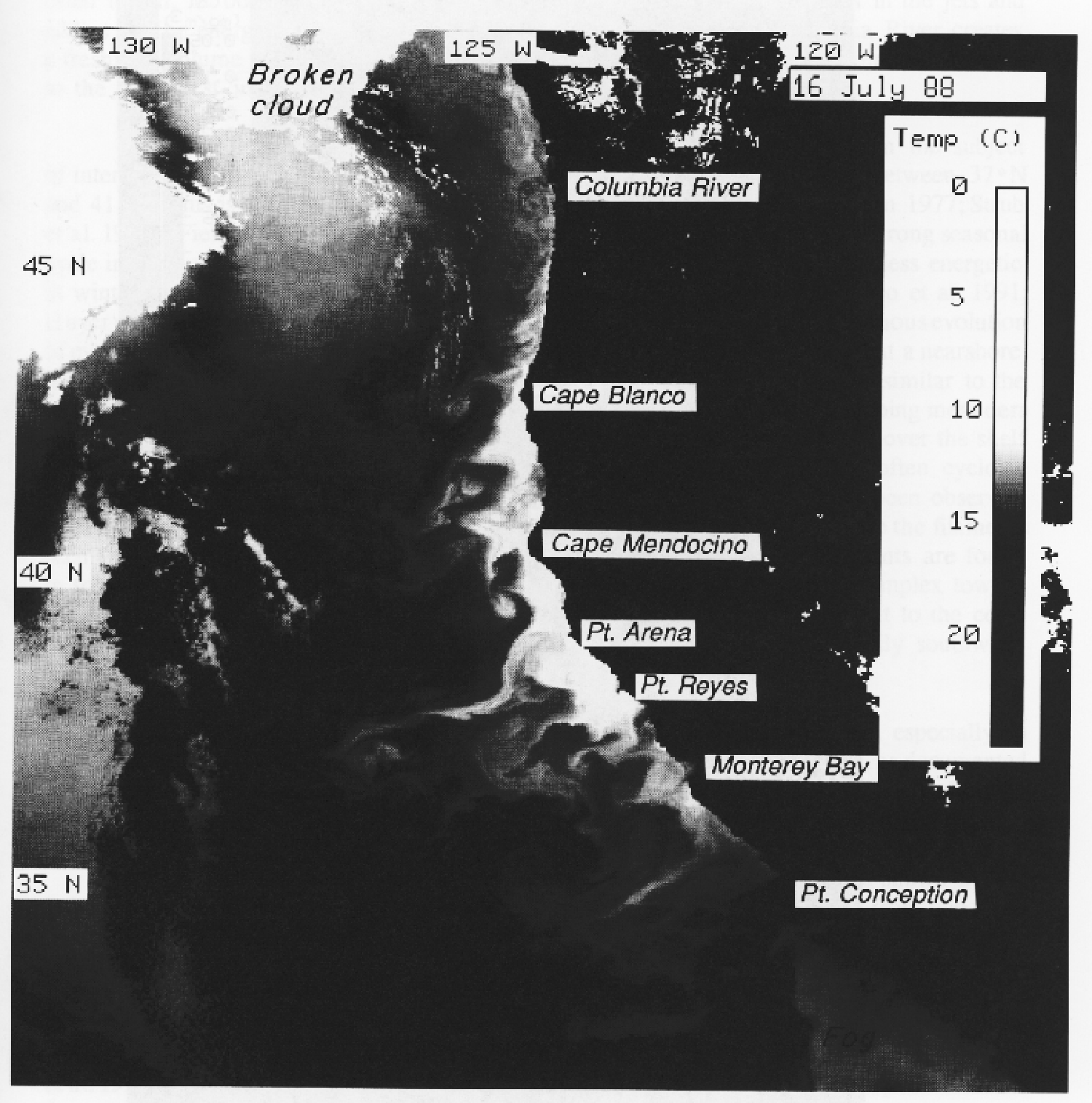 satellite sst image